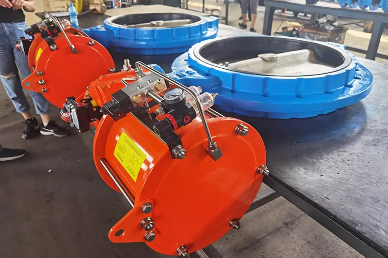 Concentric-Butterfly-Valve10