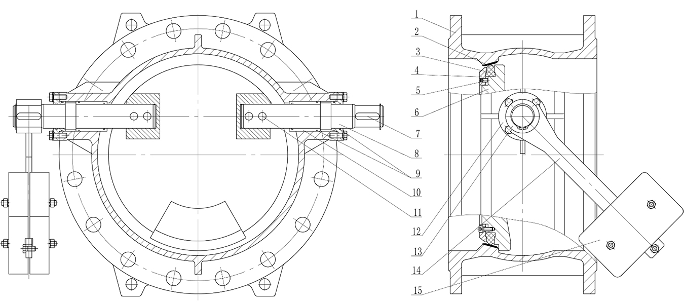 tilting-disc-check-valve8