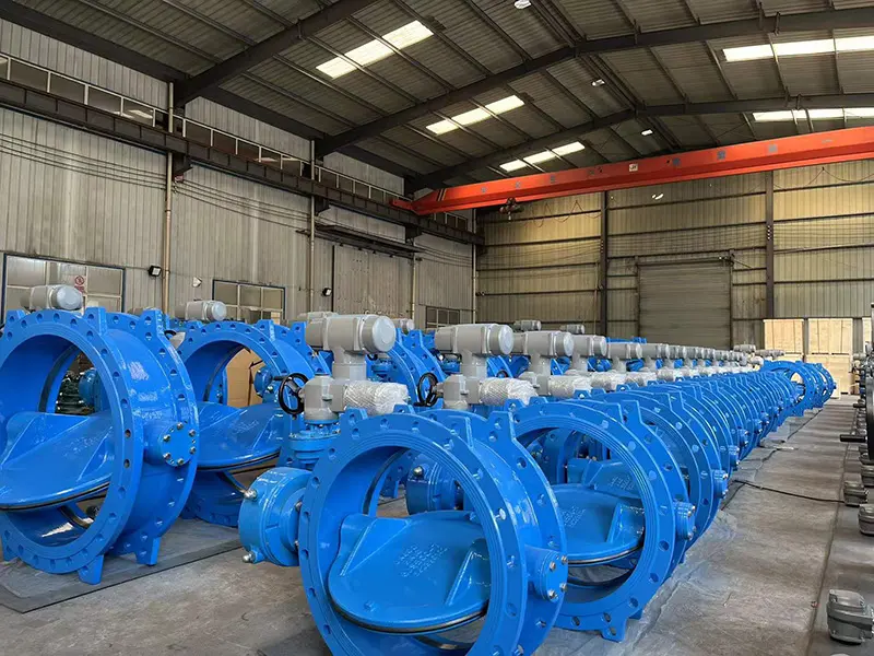 Double-Eccentric-Butterfly-Valve5