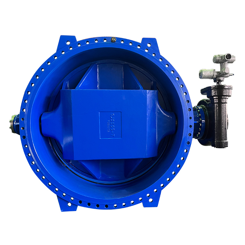 Double-Eccentric-Butterfly-Valve2.jpg